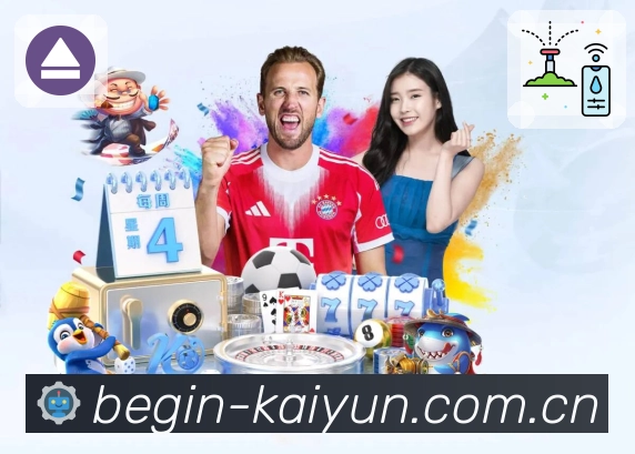 多媒体互动体验